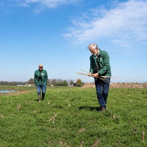 Weidevogelgroep_Gerard_Roeling